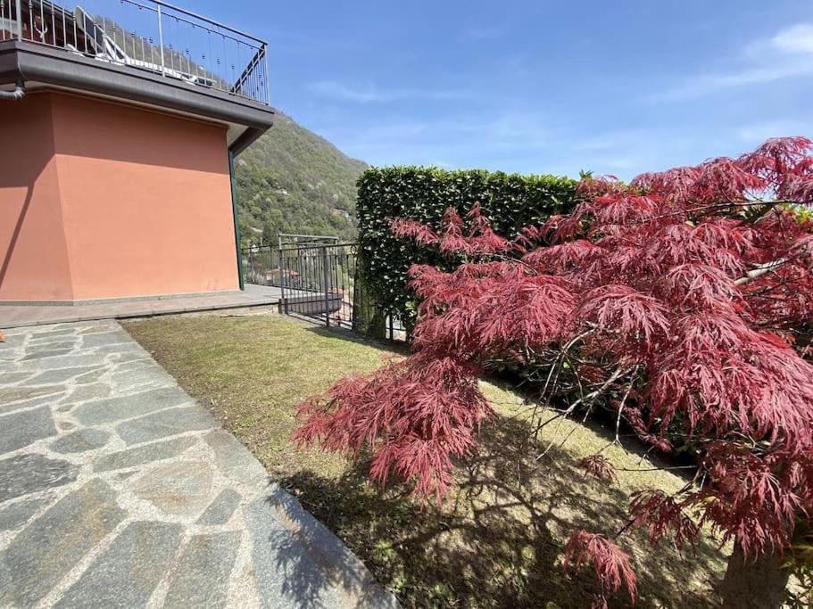 San Sisinio Apartment Argegno Exterior photo